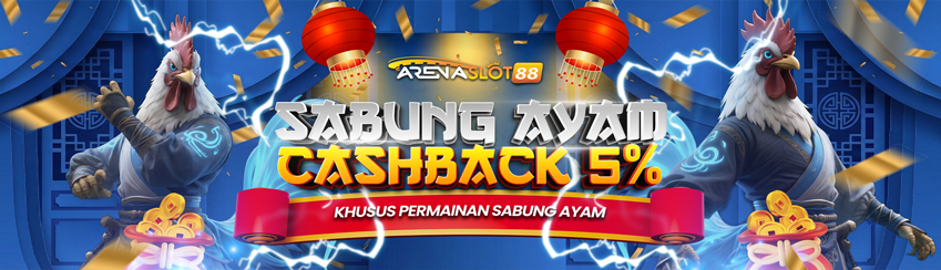 CASHBACK SABUNG AYAM